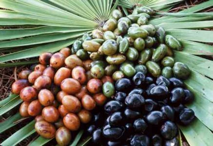 Natural Remedies for Polycystic Ovaries Image
